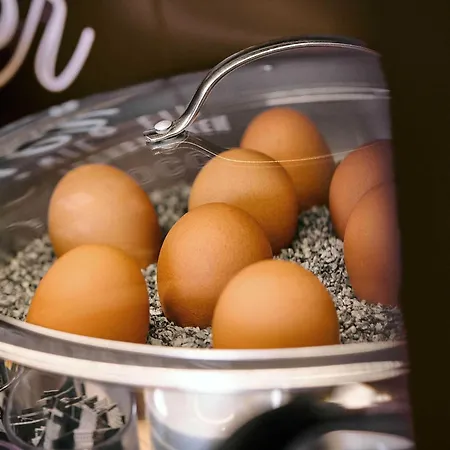 B&B Hotel Trier Hotel Trevír